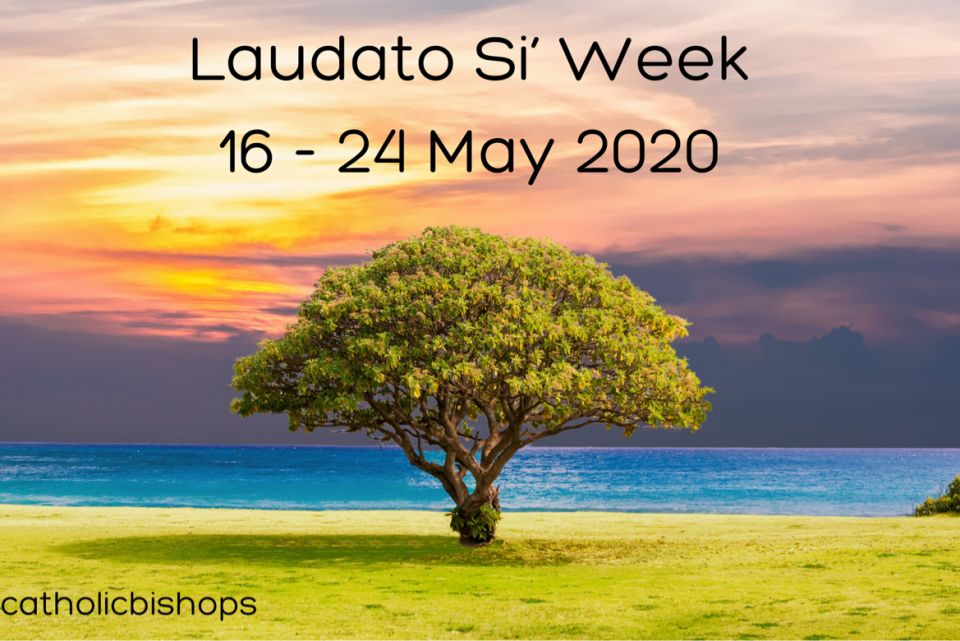 Laudato si